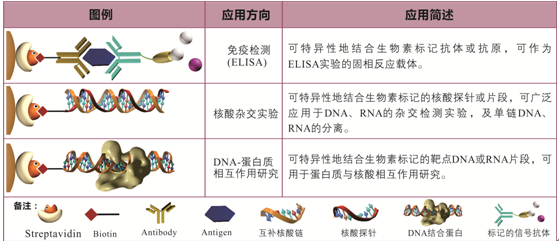 <a href='http://www.5000js.com/html/3206594356.html' target='_blank'>鏈霉親和素</a>磁珠用途